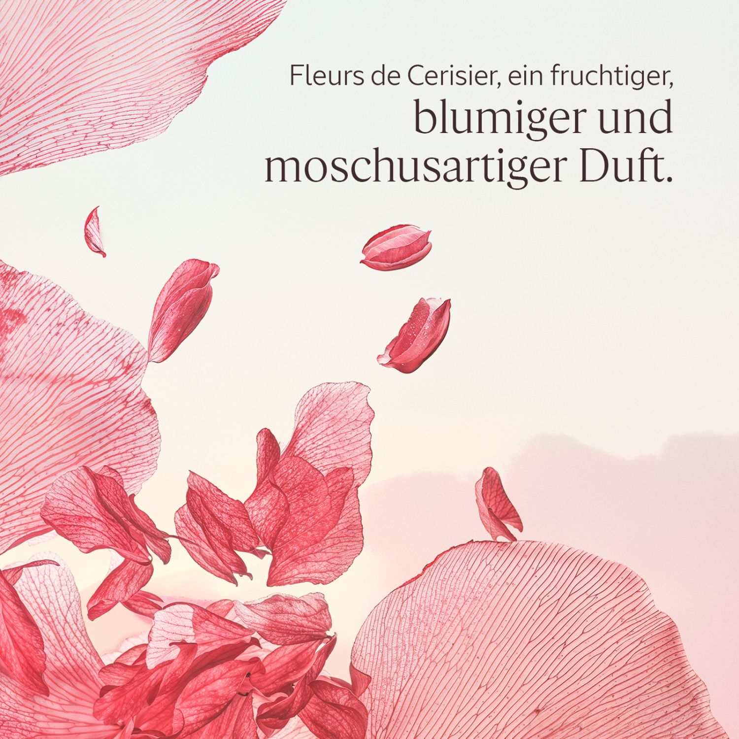 Fleurs de Cerisier Körpermilch 250ml