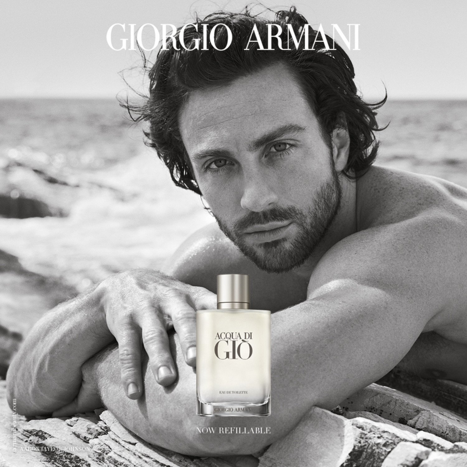 Acqua Di Giò Eau de Toilette Refill