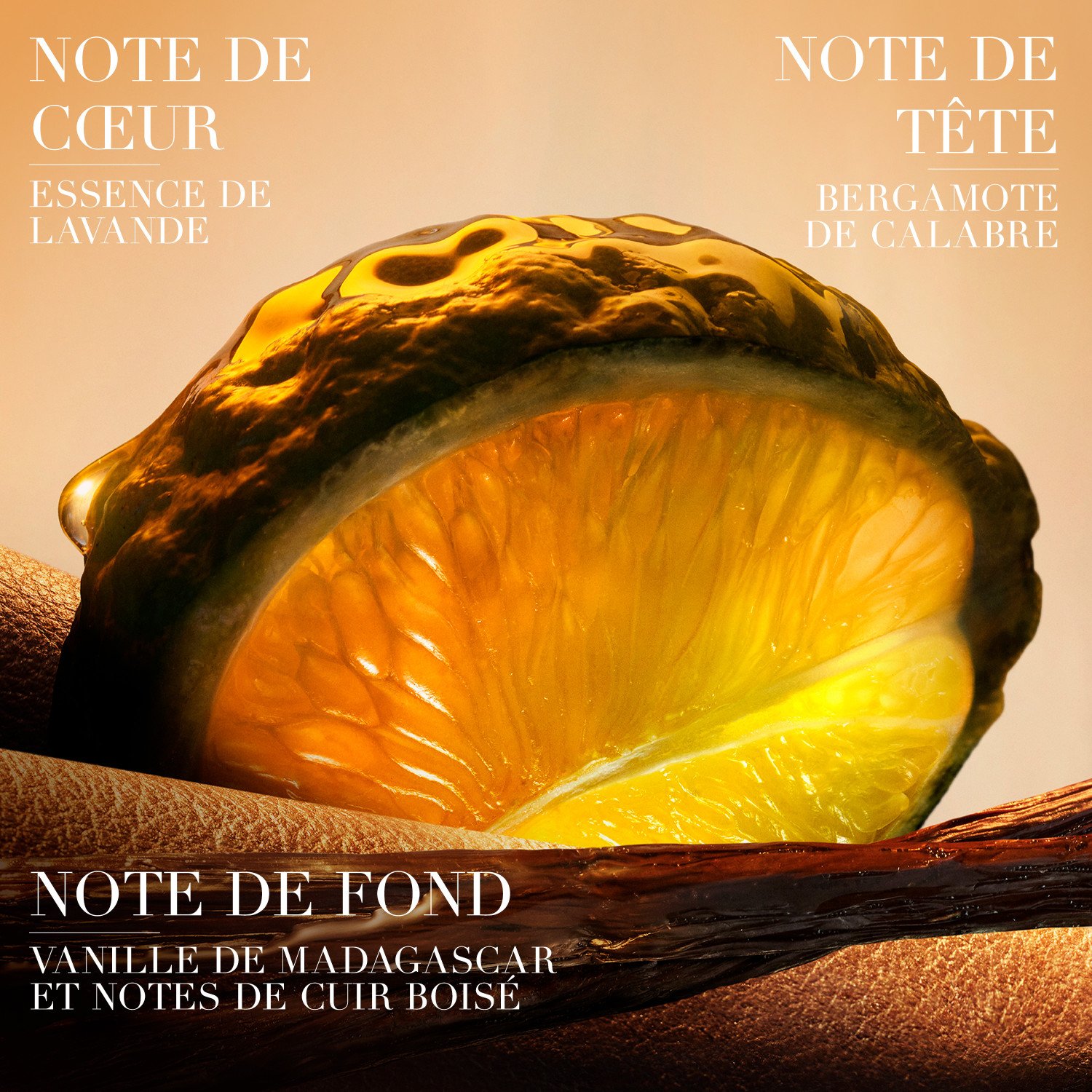 I WILL Eau de Parfum