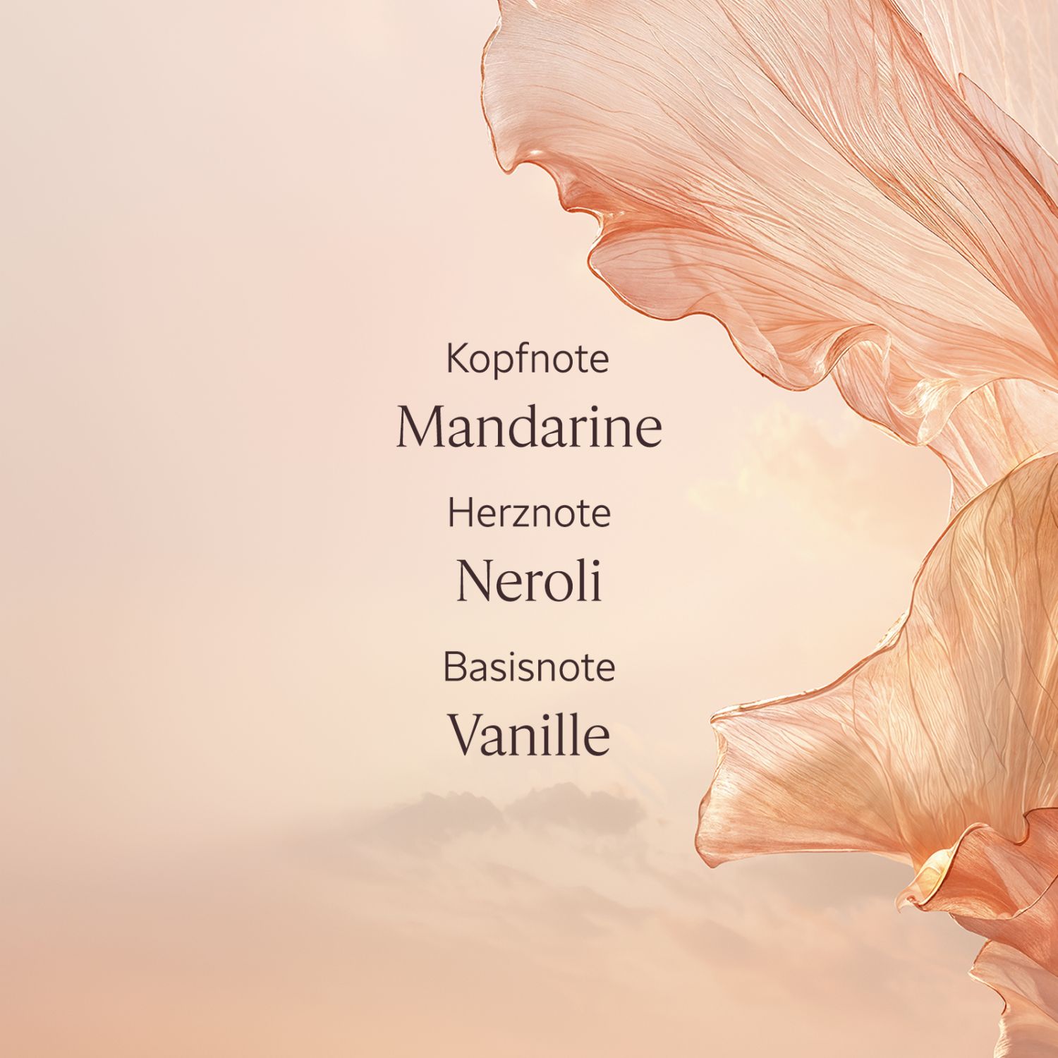 Neroli Orchidee EDT 50ml