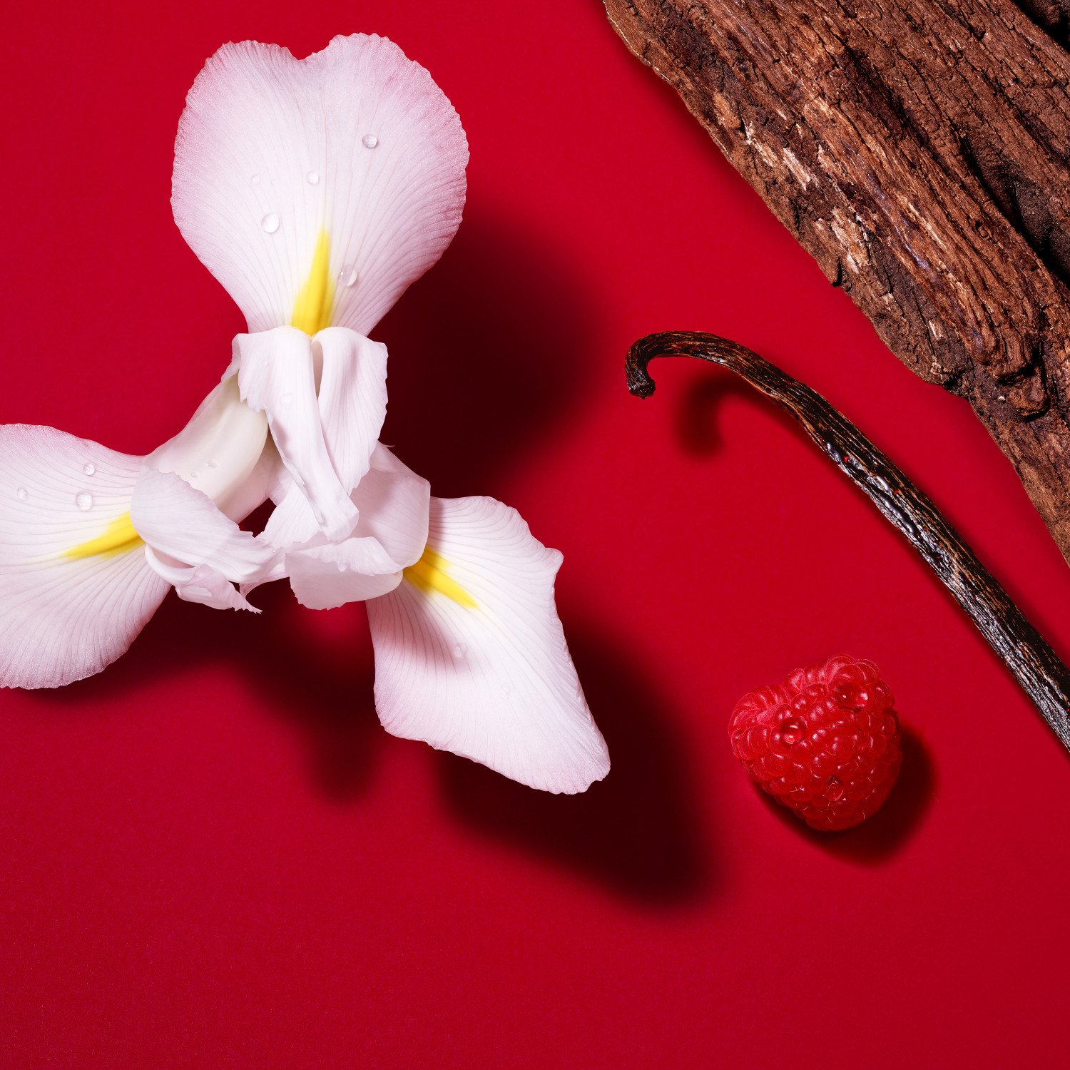 Sí Passione Red Bloom Eau de Parfum