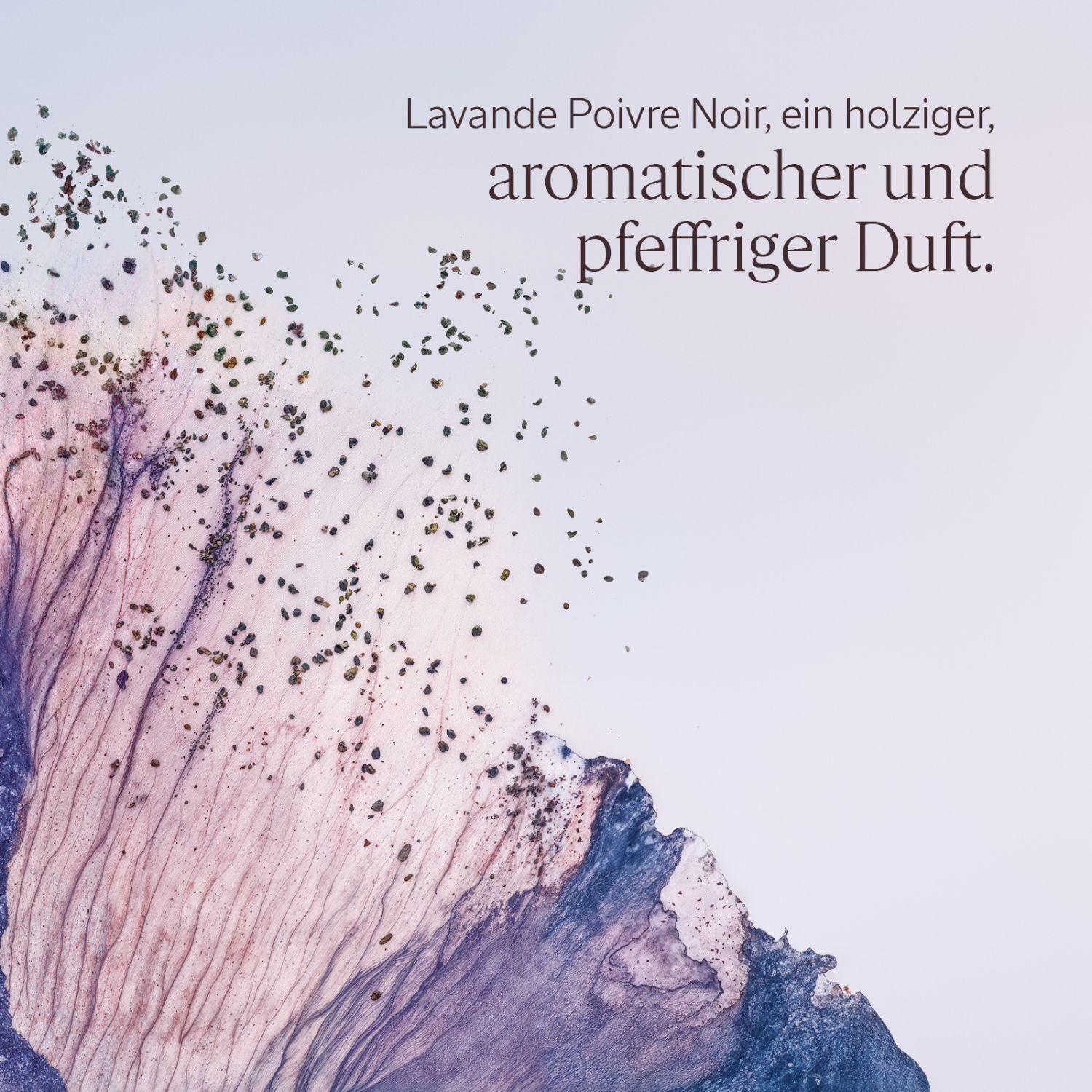 Lavende Poivre Noir Duschgel 250ml