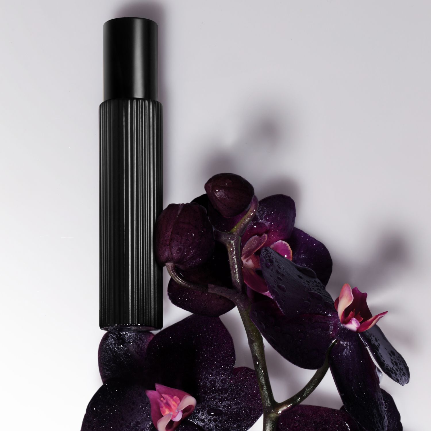 Black Orchid Eau de Parfum