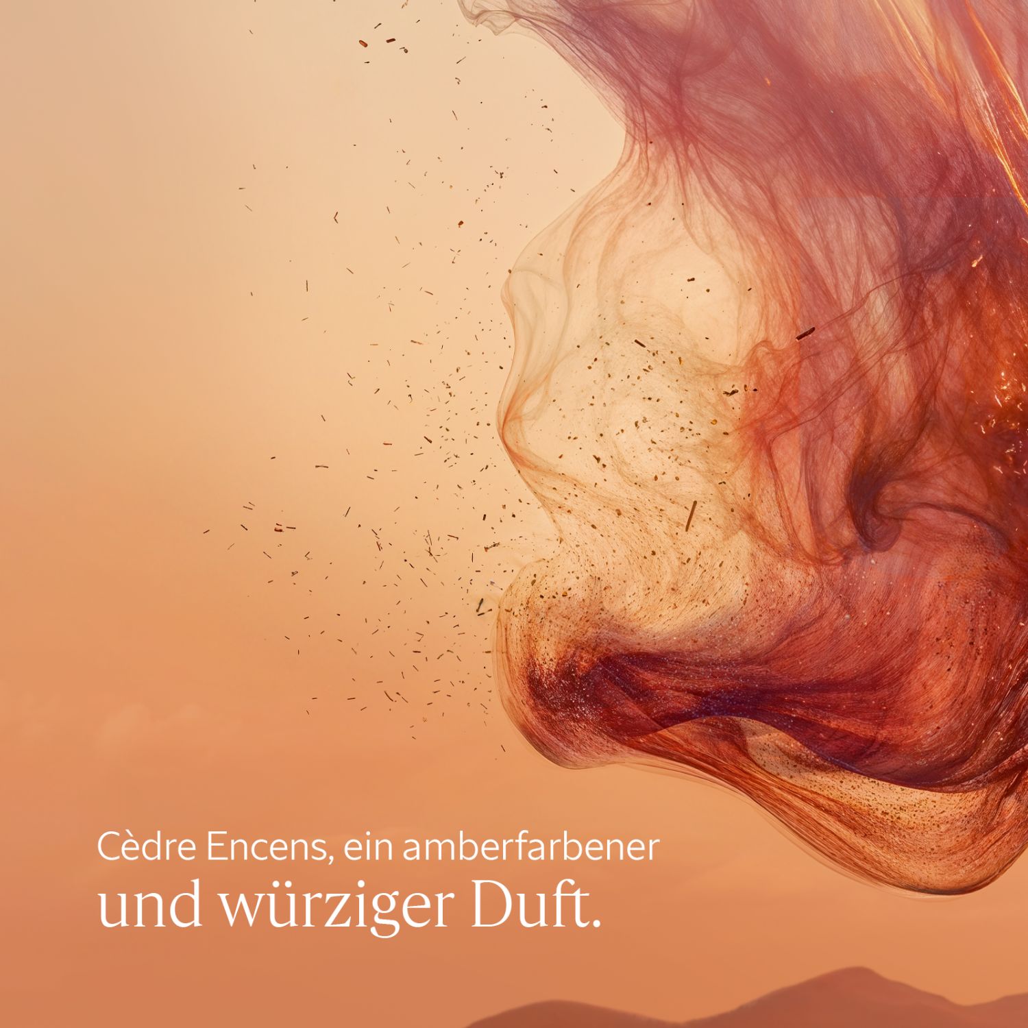 Cedre Encens Deostick 70g