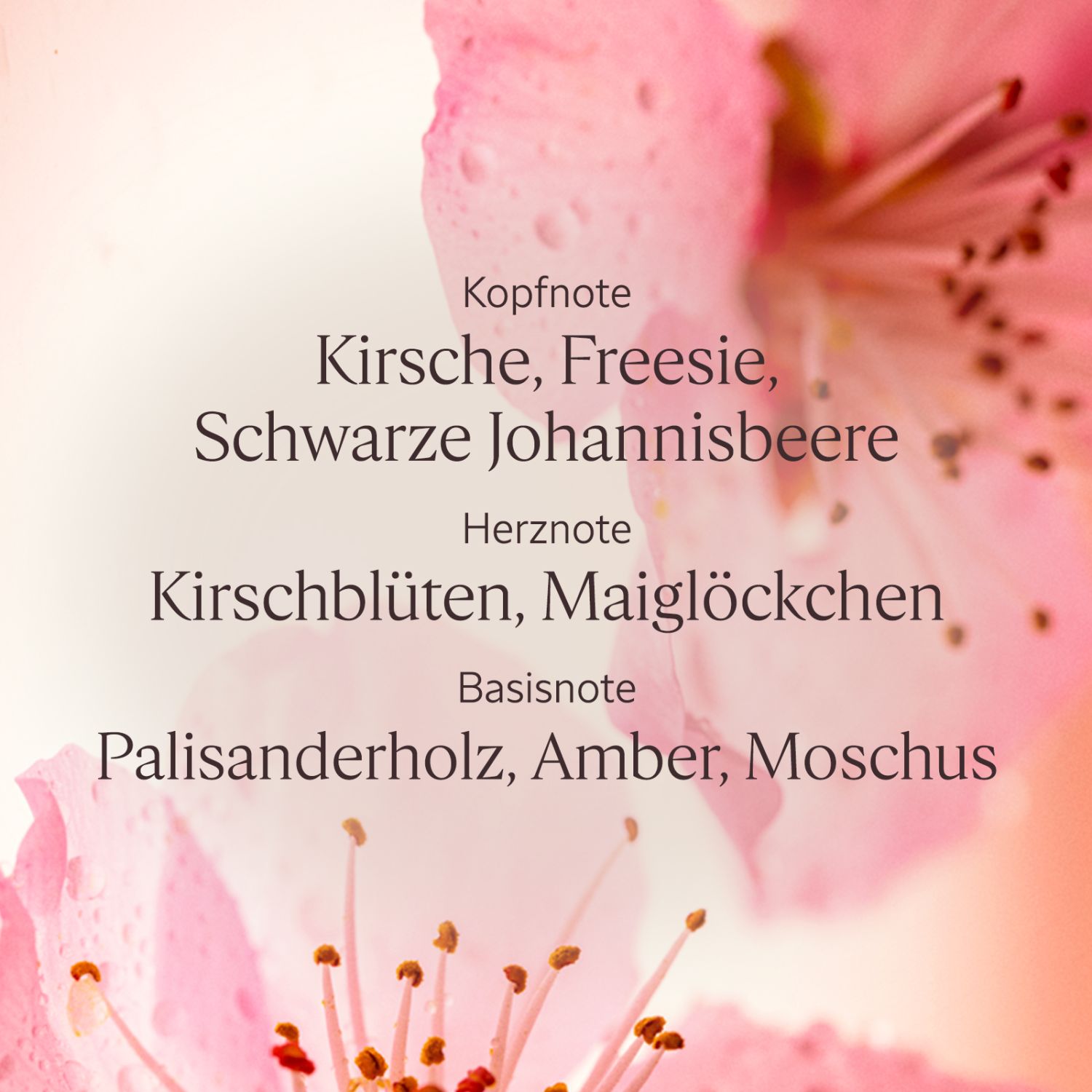 Fleurs de Cerisier Duschgel 250ml