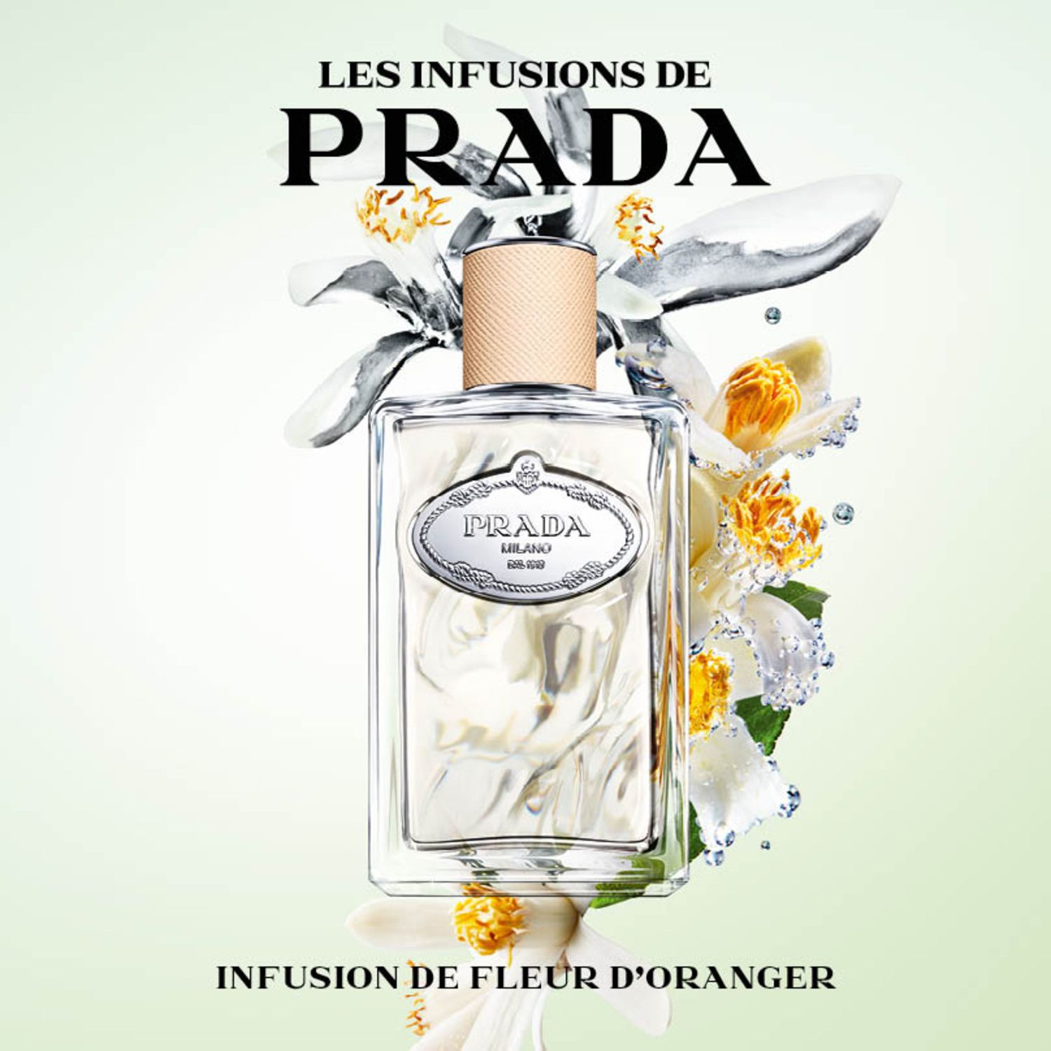 Infusion de Fleur d'Oranger Eau de Parfum