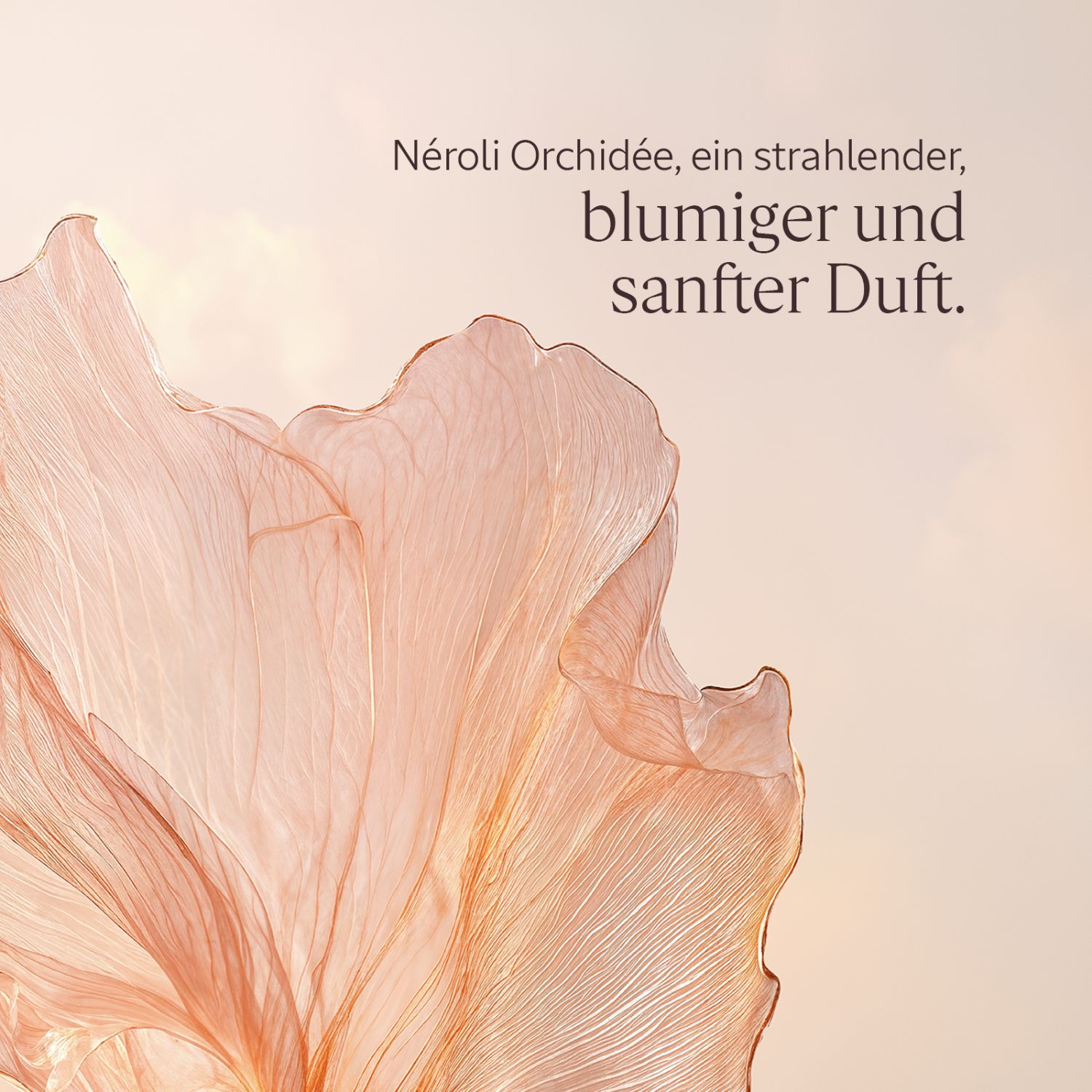 Neroli Orchidee Körpermilch 250ml