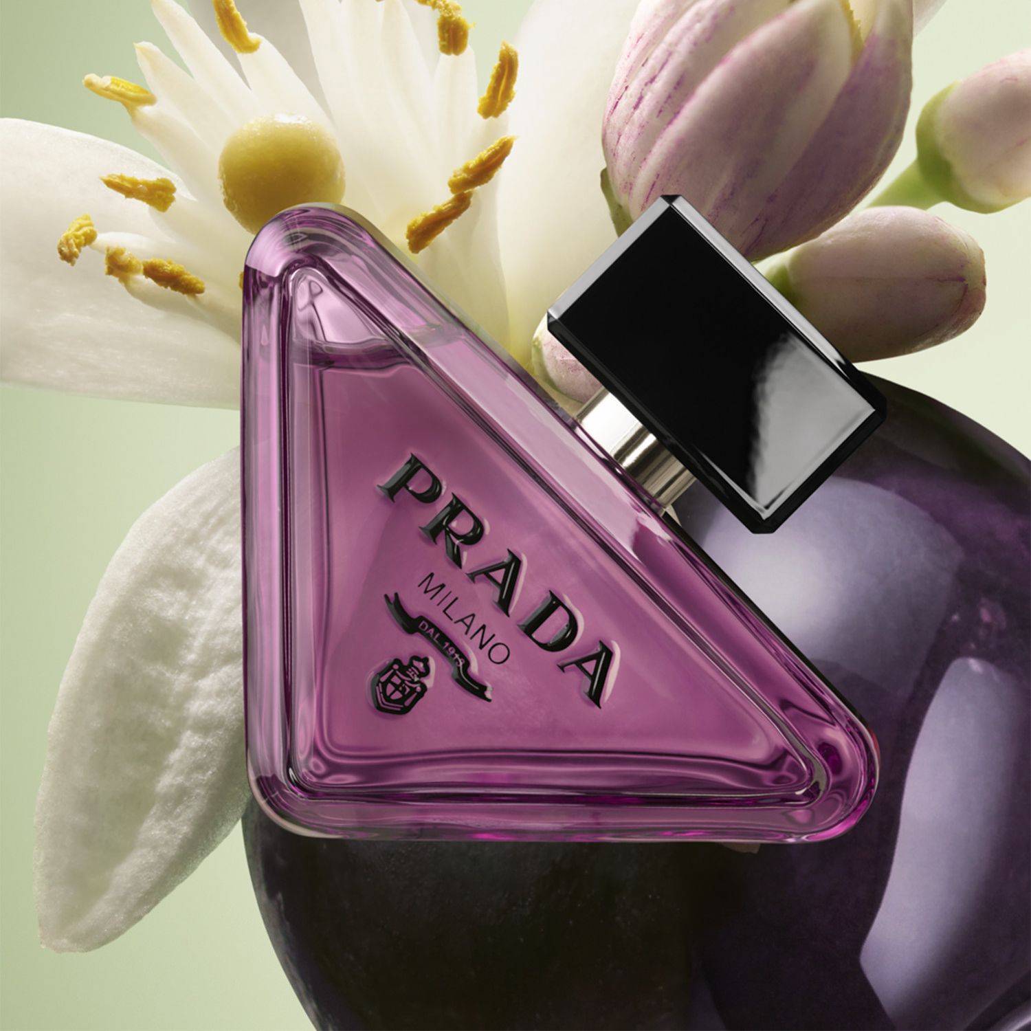 Paradoxe Sweet Chemistry Eau de Parfum Refill