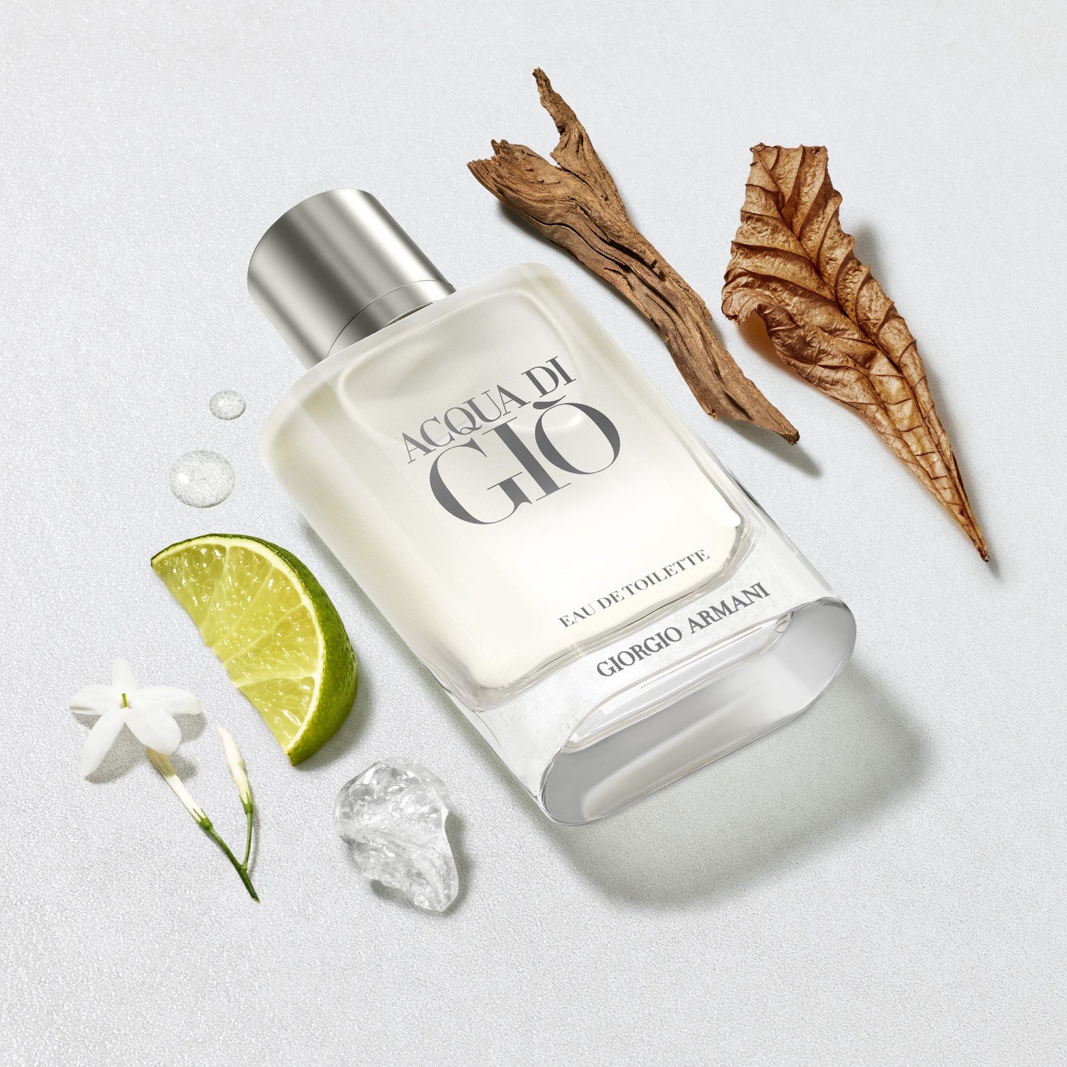 Acqua Di Giò Eau de Toilette Refill
