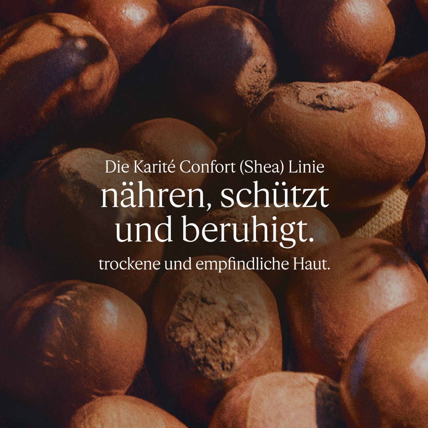 Karité Confort Shea Duschcreme